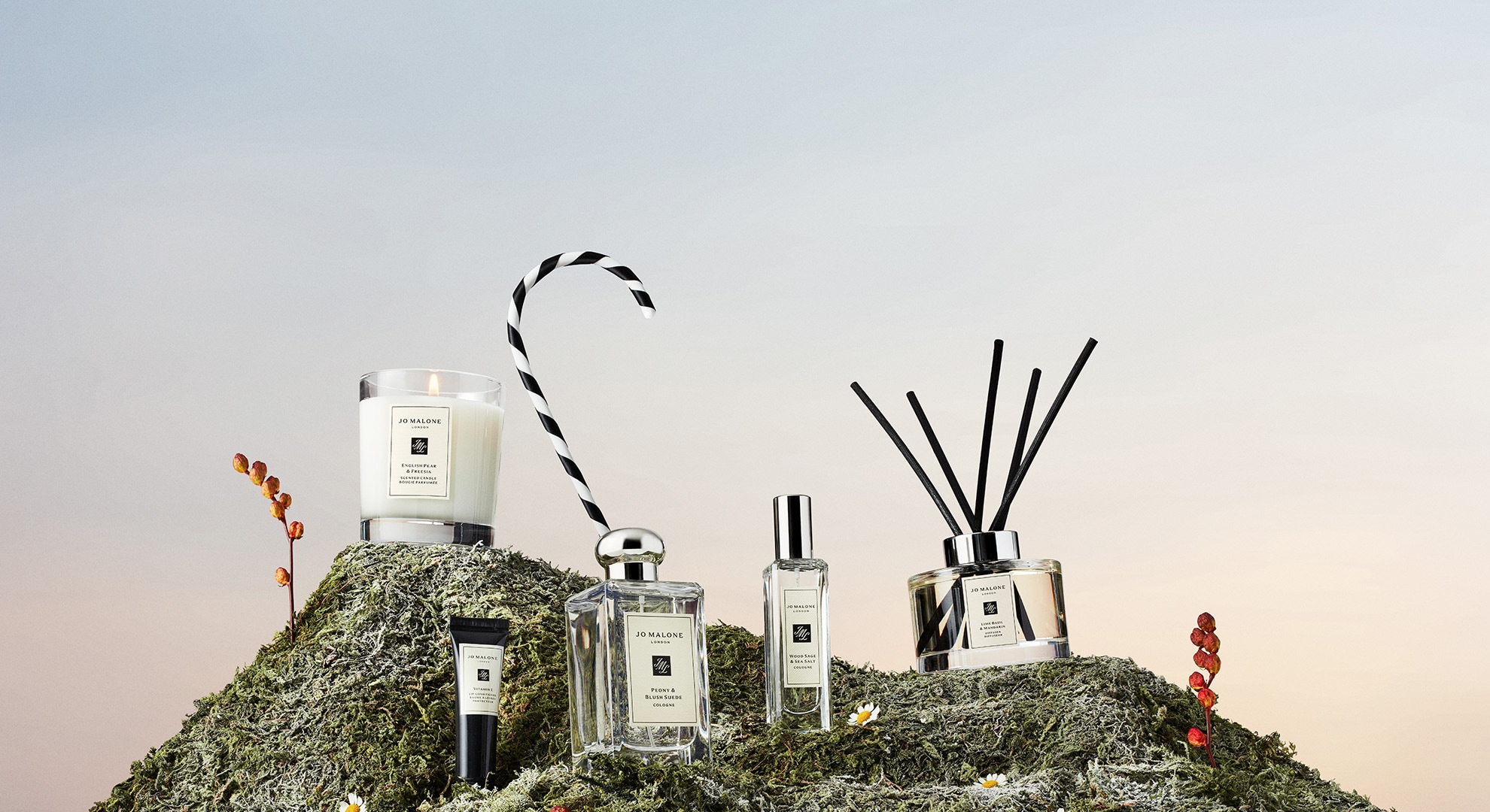 Our Most Loved Scents. Shop Bestsellers