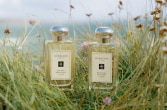 Jo Malone SS&B
