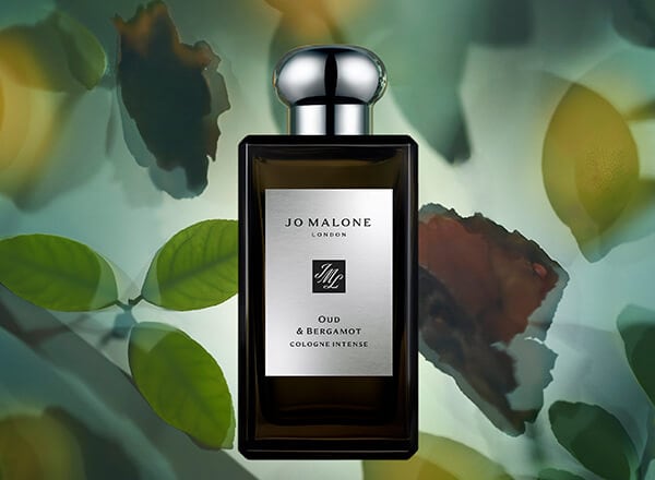 Jo malone oud & bergamot cologne intense on sale