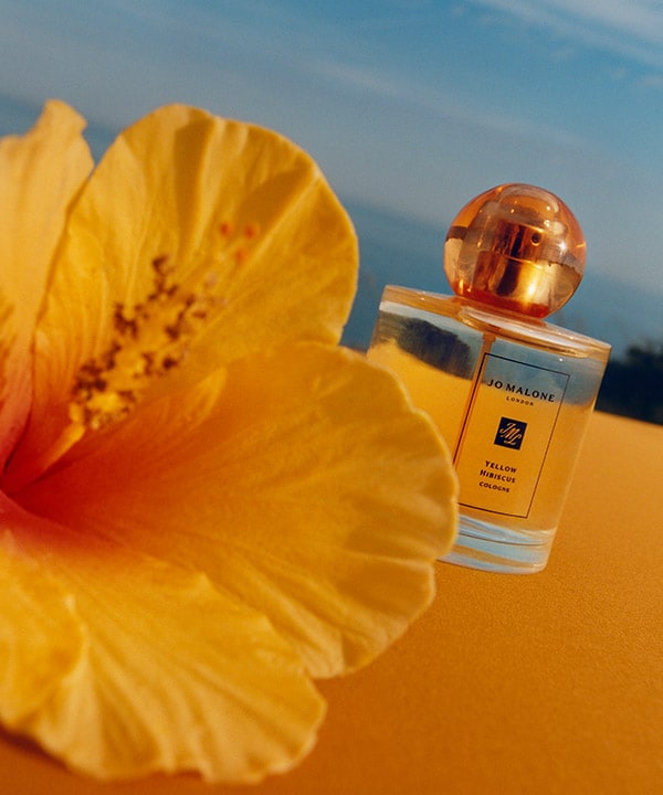 Introducing Yellow Hibiscus Cologne | Canada E-commerce Site